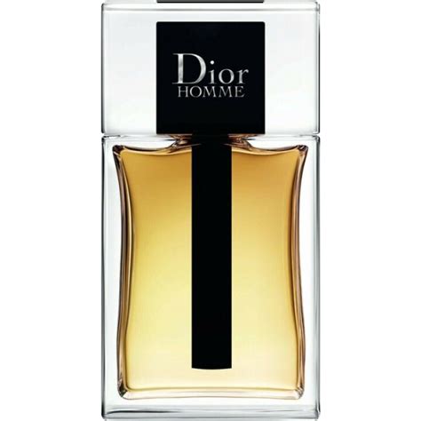 dior homme weiß|Dior Homme 2020.